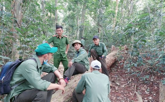 Gian nan giữ rừng trên vùng biên giới Đắk Nông