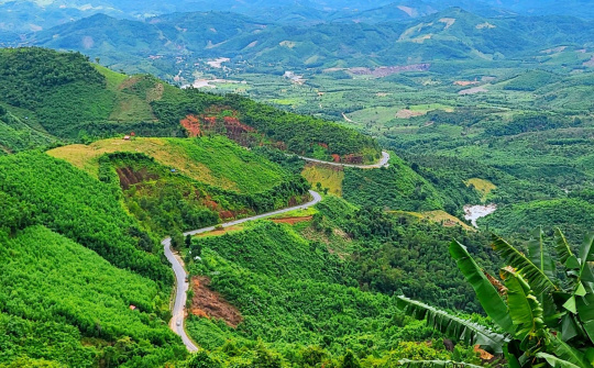 Hút hồn với vẻ đẹp hùng vỹ của Đèo Khánh Lê: Con đường nối biển và hoa