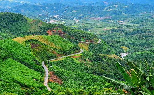 Hút hồn với vẻ đẹp hùng vỹ của Đèo Khánh Lê: Con đường nối biển và hoa