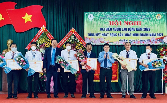 Cao su Mang Yang: Bứt phá phát triển kinh tế trong tình hình mới