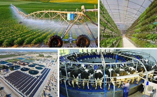 Quy định chức năng, nhiệm vụ, quyền hạn và cơ cấu tổ chức của Bộ Nông nghiệp và Phát triển nông thôn