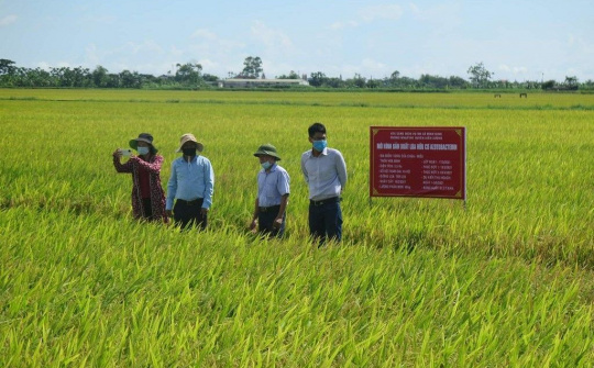 Thái Bình: Tăng cường giải pháp điều hành dự toán ngân sách địa phương