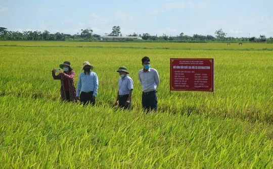 Thái Bình: Tăng cường giải pháp điều hành dự toán ngân sách địa phương