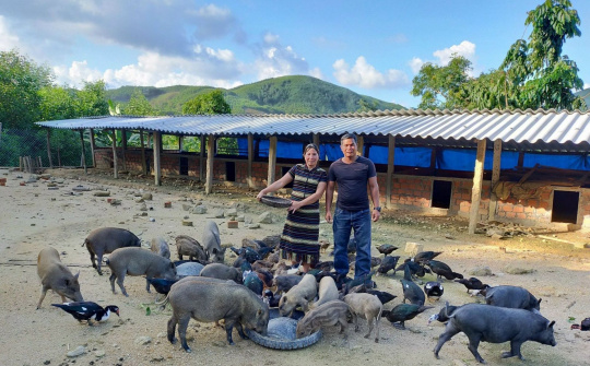 Huyện Ba Tơ (Quảng Ngãi) nỗ lực giảm nghèo bền vững