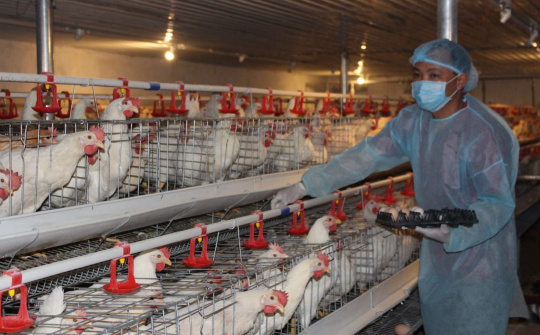 Nam Định nỗ lực đưa nông sản lên sàn giao dịch thương mại điện tử