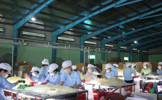 Ninh Thuận: Đẩy mạnh cơ cấu nền kinh tế gắn với chuyển đổi mô hình tăng trưởng trong năm 2023