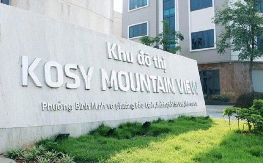 Kosy (KOS): Lãi quý IV giảm 46%, dòng tiền kinh doanh âm năm thứ 6 liên tiếp