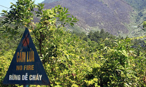 Nâng cao công tác quản lý, bảo vệ rừng và phòng cháy, chữa cháy rừng giai đoạn 2021 – 2030