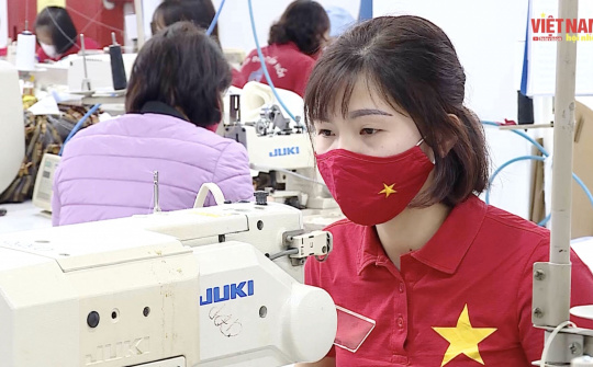 BẢN TIN VIỆT NAM HỘI NHẬP (Tuần 1 tháng 2/2022)