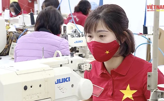 BẢN TIN VIỆT NAM HỘI NHẬP (Tuần 1 tháng 2/2022)