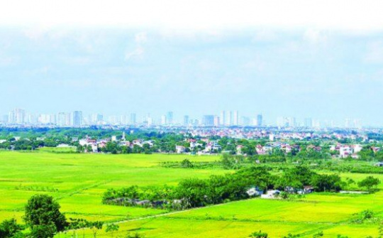 Đơn giản hóa thủ tục, điều kiện chuyển đổi mục đích sử dụng đất