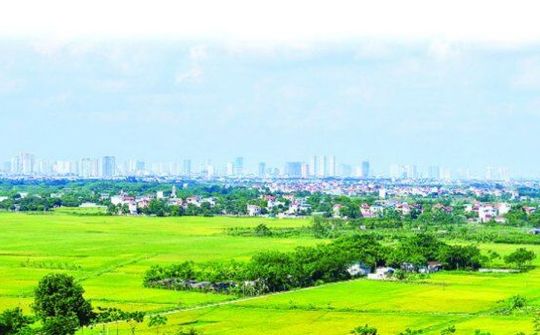 Đơn giản hóa thủ tục, điều kiện chuyển đổi mục đích sử dụng đất