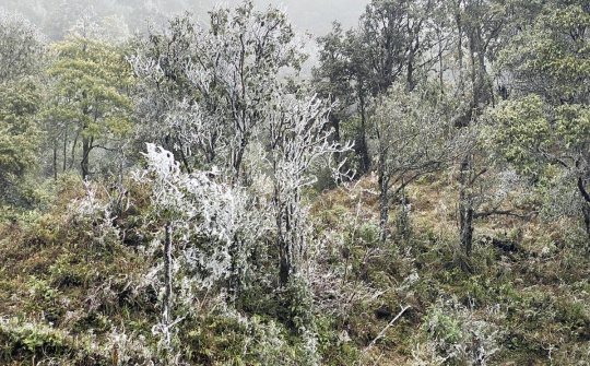 Thời tiết trở lạnh, cơ hội “săn tuyết” cho du khách tại Sapa