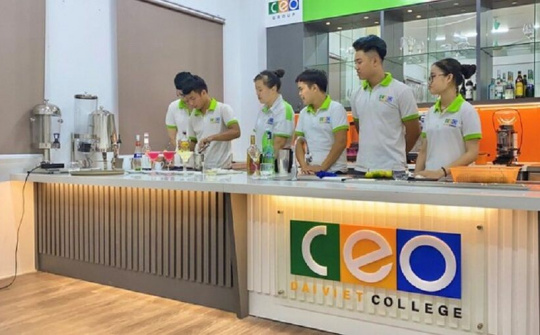 Giá cổ phiếu Tập đoàn C.E.O tăng mạnh do đâu?