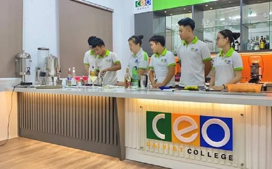 Giá cổ phiếu Tập đoàn C.E.O tăng mạnh do đâu?