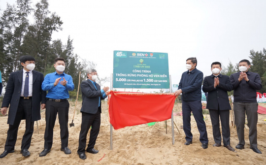 BIDV trồng 6500 cây phòng hộ ven biển tại Nghệ An