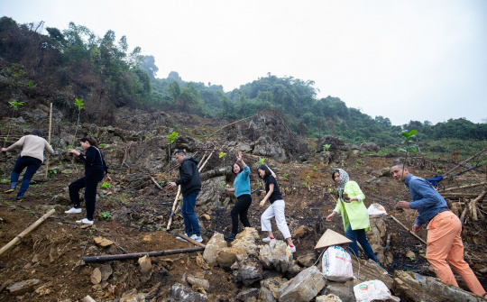 Ra mắt Treebank “Vườn ở khắp nơi”