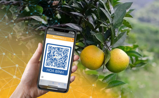 Tạo đà bứt phá phát triển thương mại điện tử