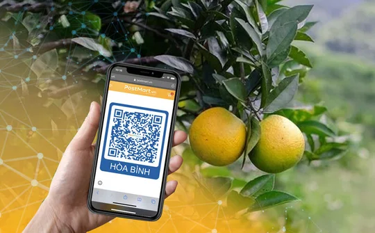 Tạo đà bứt phá phát triển thương mại điện tử