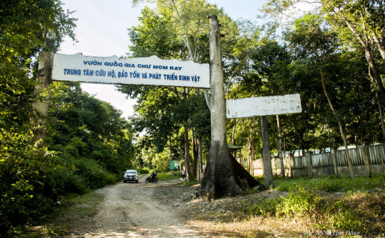 Phát triển du lịch sinh thái, nghỉ dưỡng, giải trí VQG Chư Mom Ray giai đoạn 2021-2030