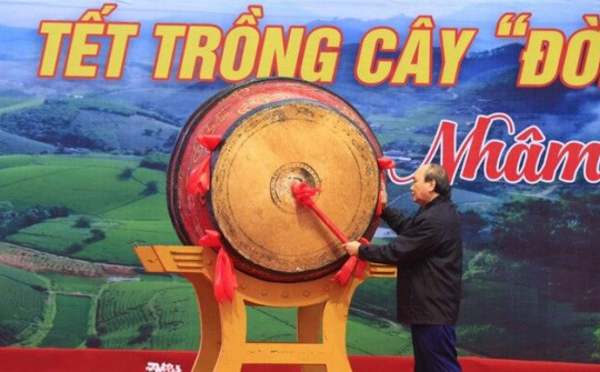 Chủ tịch nước phát động Tết trồng cây Xuân Nhâm Dần tại Phú Thọ