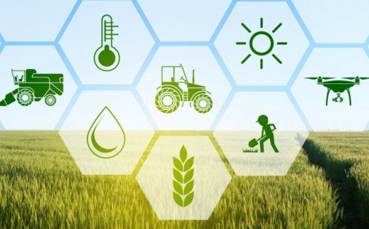 Phát triển nông nghiệp và nông thôn bền vững giai đoạn 2021 – 2030, tầm nhìn 2050