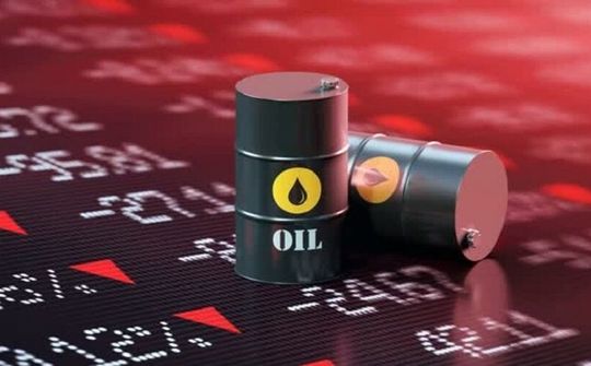 Chủ tịch Quốc hội yêu cầu báo cáo kết quả giám sát xăng dầu ngay trong tháng 3