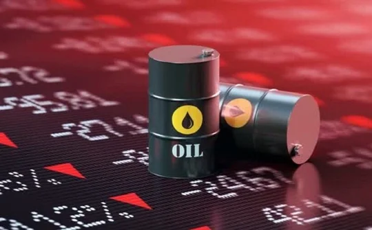 Chủ tịch Quốc hội yêu cầu báo cáo kết quả giám sát xăng dầu ngay trong tháng 3