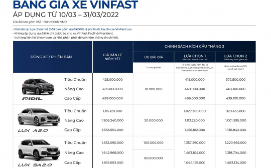 Tháng 2/2022, VinFast đã bàn giao 1.154 xe ô tô cho khách hàng