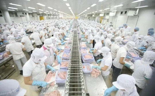 "Bắt sóng" nhóm ngành tiêu điểm trong bối cảnh mới