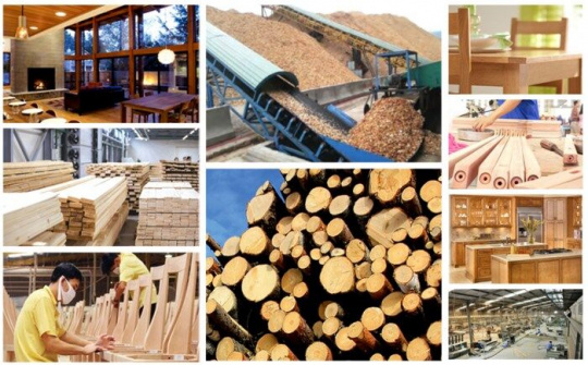 Phát triển ngành công nghiệp chế biến gỗ bền vững, hiệu quả giai đoạn 2021 – 2030