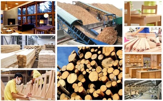 Phát triển ngành công nghiệp chế biến gỗ bền vững, hiệu quả giai đoạn 2021 – 2030