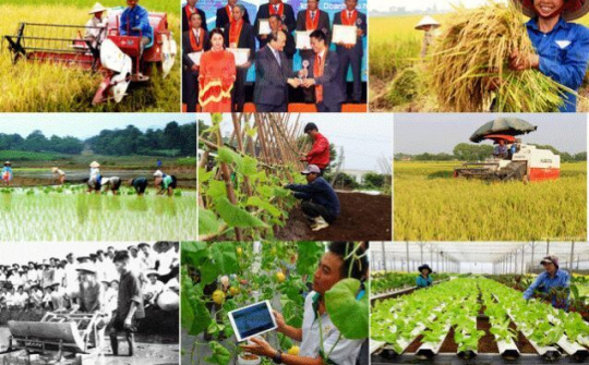 Phát huy bản sắc, giá trị văn hóa nông thôn Việt Nam