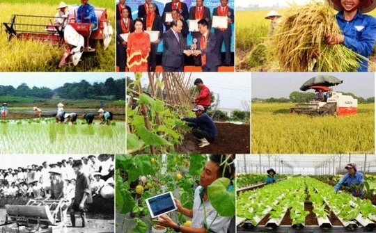 Phát huy bản sắc, giá trị văn hóa nông thôn Việt Nam