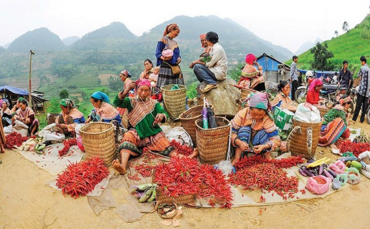 Đổi mới cơ chế, chính sách hỗ trợ phát triển KTXH vùng đồng bào dân tộc thiểu số và miền núi