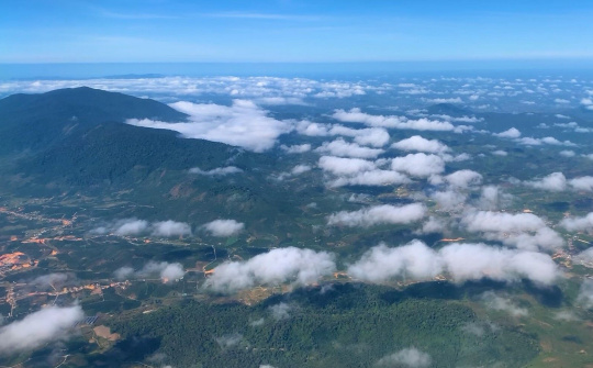 Treebank - Vườn ở khắp nơi