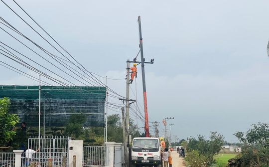 Điện lực Nam Định đẩy nhanh tiến độ các dự án, kịp thời đáp ứng nhu cầu sử dụng điện cho mùa hè 2022