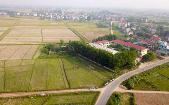 Hà Nội đề nghị tạm dừng phân lô tách thửa đất nông nghiệp