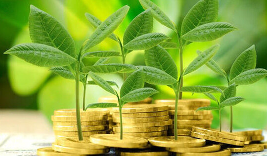 Ngân hàng xanh - Bảo vệ môi trường: Sáng kiến cho phát triển bền vững tại Việt Nam