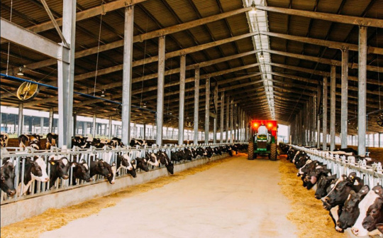 Tập đoàn TH: Ứng dụng công nghệ 4.0 vào cụm trang trại đạt kỷ lục thế giới