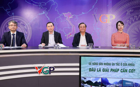 Để nông sản không ùn tắc ở cửa khẩu: Đâu là giải pháp căn cơ?