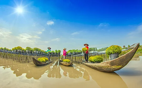 Phát triển ĐBSCL trở thành thương hiệu quốc tế về du lịch nông nghiệp - nông thôn, du lịch sinh thái