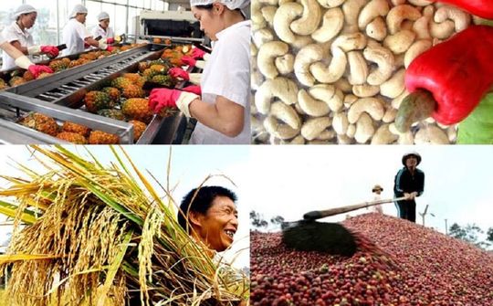 Tác động của xung đột Nga - Ukraine đến xuất nhập khẩu nông sản của Việt Nam