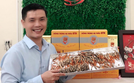 Nhà khoa học Lê Thanh Bình và hành trình phát triển Đông trùng hạ thảo BTH