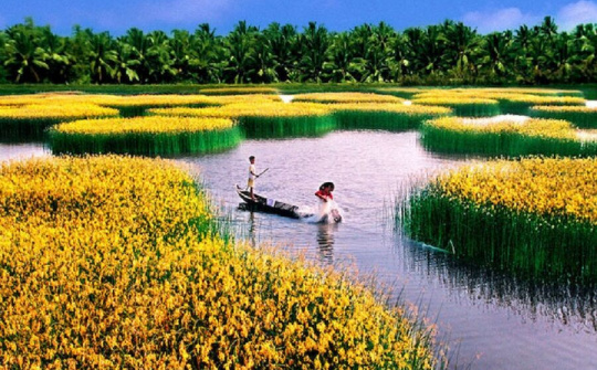 Nông nghiệp vùng Đồng bằng sông Cửu Long: Đã đến lúc nghĩ mới hơn, khác hơn, lớn hơn, táo bạo hơn