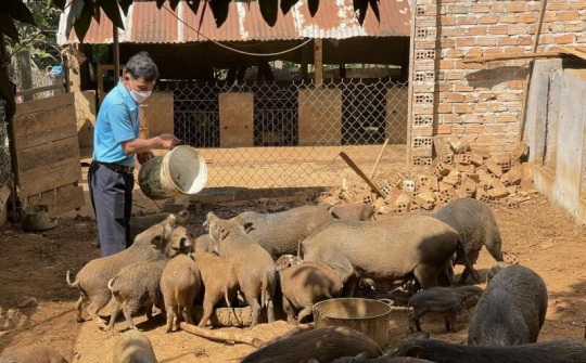 NHCSXH tỉnh Đắk Nông - Điểm tựa vươn lên của đồng bào dân tộc thiểu số