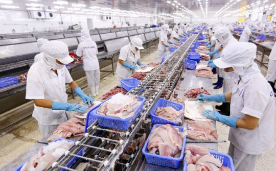 Thị trường Trung Quốc phục hồi, xuất khẩu thuỷ sản của Việt Nam tăng mạnh 