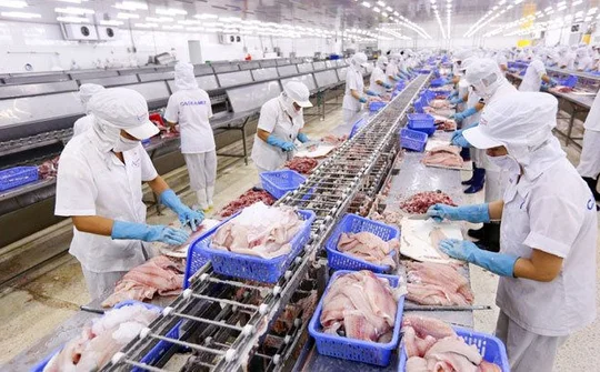 Thị trường Trung Quốc phục hồi, xuất khẩu thuỷ sản của Việt Nam tăng mạnh 