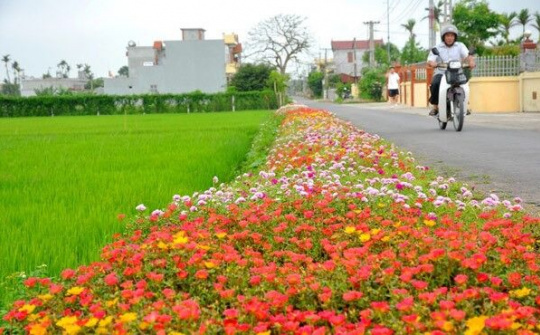 Ban hành Bộ tiêu chí xã nông thôn mới giai đoạn 2021 - 2025