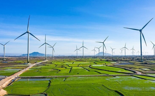 Phát triển kinh tế theo hướng sinh thái, tuần hoàn, tăng trưởng xanh